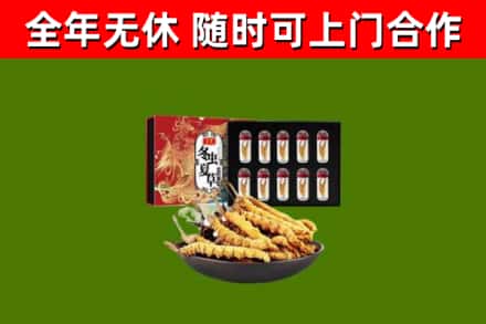 上街区烟酒回收冬虫夏草礼盒.jpg
