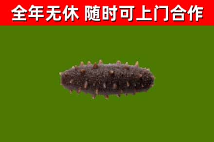 上街区烟酒回收干海参.jpg